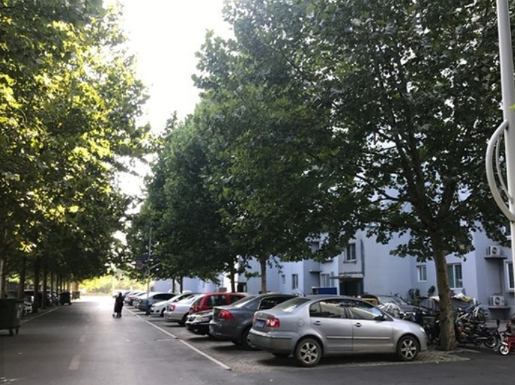 （2009年）鄒平一中翠微園1號、2號、6號樓鑒定